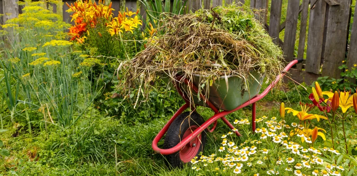 Bild von verschiedenen Gartenabfällen